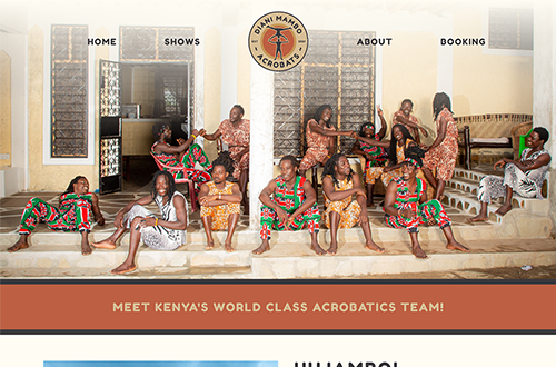 a preview of the home page of the diani mambo acrobats website