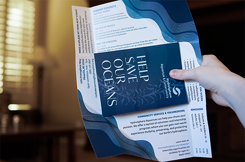 a photograph of a hand holding a brochure inside folder flyer